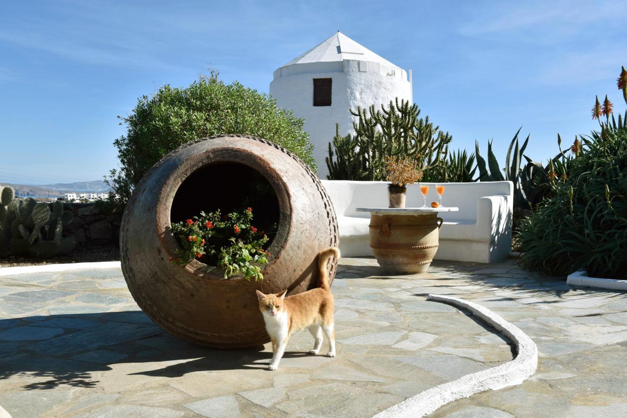 Anastasia'S Windmill And Anastasia'S Studio Πλάκα Μήλου Εξωτερικό φωτογραφία
